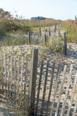 Beach fencing to control sand on the beach - Nags Head North Carolina - Outer Banks
