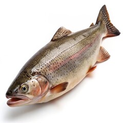 Fototapeta premium Fresh Rainbow Trout Isolated on White Background, fish, trout, salmon