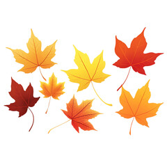 Obraz premium autumn leaves on a transparent background