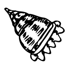 Seashell hand drawn doodle. Sea mollusk shell. Crayfish shell. Coral reef. Diving in water. Vector sketch line art illustration.