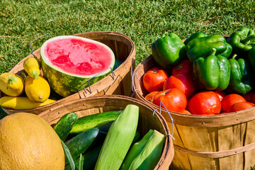Fresh Summer Harvest: Watermelon Tomatoes and Corn at Eye Level