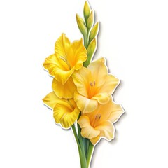 Yellow Gladiolus Flowers with White Background and Paper Cut Style, flower , plant , floral