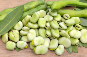 Broad bean or fava beans (Fave) on the close-up. From garden to table: springtime vegetables and legumes