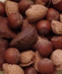 Mixed almonds, hazelnuts, and Brazil nuts in shell