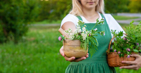 A woman collects medicinal herbs