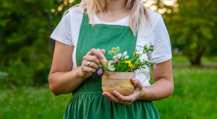 A woman collects medicinal herbs