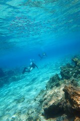 Scuba divers exploring shallow sea in the clear sea, swimming school of small fish. Underwater photo from scuba diving. Seascape with fish, travel photo. Ocean, marine life and scuba divers.