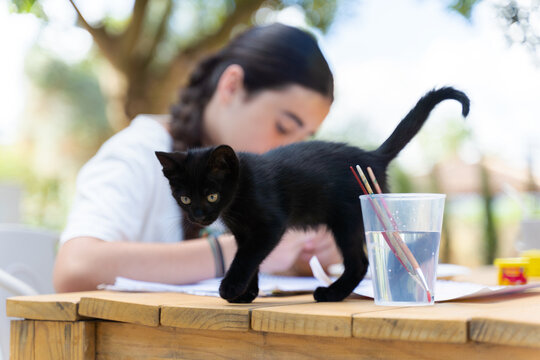 Young woman painting with black kitten and dog nearby