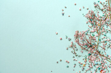 gypsophila flowers with copy space on light green background, flat lay