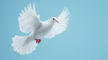 Obraz premium A graceful white dove flutters its wings in a calm blue setting, representing peace