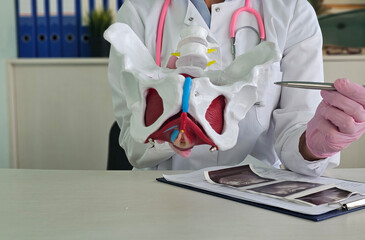 Doctor traumatologist demonstrating bones of pelvis to students in clinic 