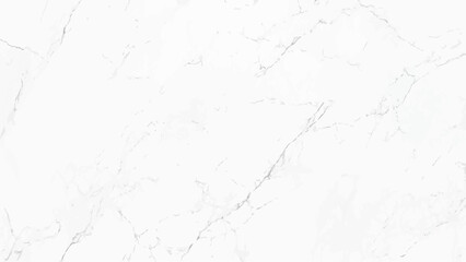 Marbled background banner panorama - High resolution. Luxurious white marble texture, concrete wall.