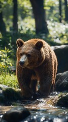 Obraz premium High-resolution realistic bear image capturing every detail in stunning clarity and depth