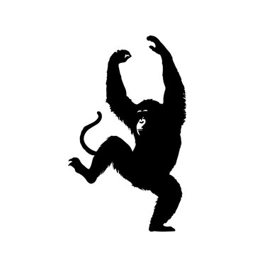 recommend clip art: a cute Orangutan silhouette, vector black color silhouette