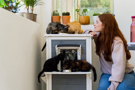 Woman Feeding Multiple Cats on Balcony