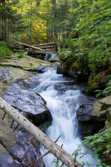 Rieslochbach und Rieslochfälle im Frühsommer bei Bodenmais am Arber im Bayerischen Wald
