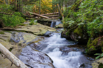 Rieslochbach und Rieslochfälle im Frühsommer bei Bodenmais am Arber im Bayerischen Wald