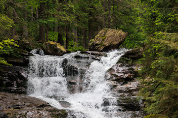 Rieslochbach und Rieslochfälle im Frühsommer bei Bodenmais am Arber im Bayerischen Wald