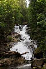 Rieslochbach und Rieslochfälle im Frühsommer bei Bodenmais am Arber im Bayerischen Wald