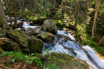 Rieslochbach und Rieslochfälle im Frühsommer bei Bodenmais am Arber im Bayerischen Wald