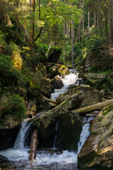 Rieslochbach und Rieslochfälle im Frühsommer bei Bodenmais am Arber im Bayerischen Wald