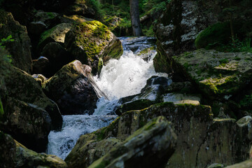 Rieslochbach und Rieslochfälle im Frühsommer bei Bodenmais am Arber im Bayerischen Wald