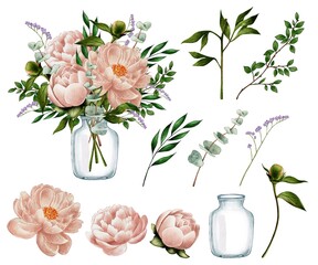 Set of Bouquet of peonies, with eucalyptus in a glass vase, watercolor illustration on white backgroun:. Delicate flowers for wedding decoration, holidays, birthdays 