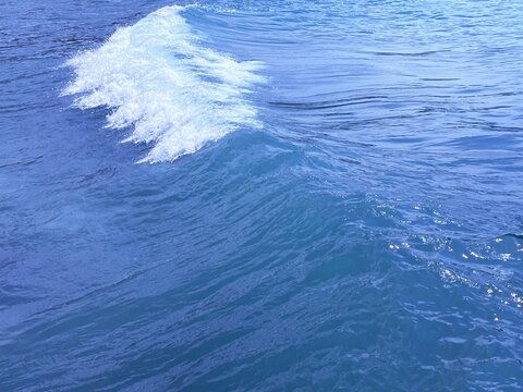 waves of the sea