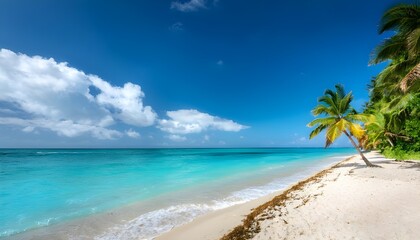 Fototapeta premium Turquoise sea and palm-lined beach in Jamaica, capturing the essence of a tropical paradise for travel and destination marketing