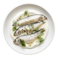 High resolution commercial photo Herring in Sour Cream on white plate