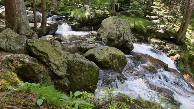 Rieslochbach und Rieslochf&auml;lle im Fr&uuml;hsommer bei Bodenmais am Arber im Bayerischen Wald
