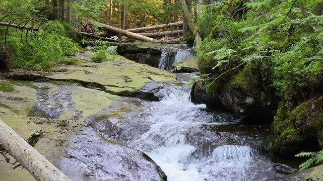 Rieslochbach und Rieslochf&auml;lle im Fr&uuml;hsommer bei Bodenmais am Arber im Bayerischen Wald