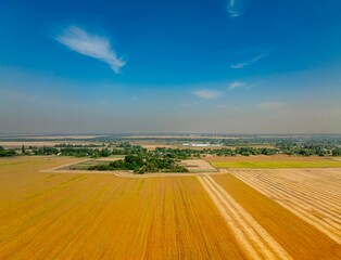 Fototapeta premium landscape with road and soybeans fields