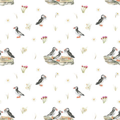 Seamless pattern with puffin birds and tiny flowers; watercolor illustration