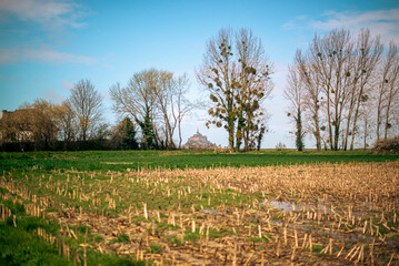 Obraz premium Rural landscape with bare trees and clear blue sky in early spring
