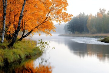 Obraz premium Serene Autumn Landscape with Vibrant Foliage and Tranquil River Reflecting Golden Leaves