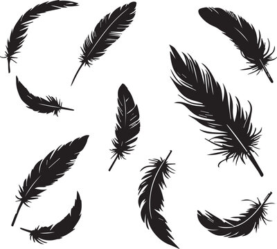 Crow feathers silhouette vector art illustration