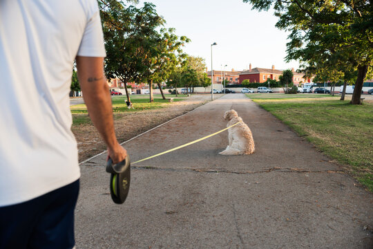 Stubborn dog refusing to walk with owner in park