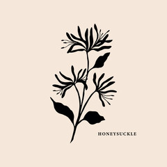 Flat vector honeysuckle branch illustration