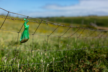 Dog poo bag hanging on a fence