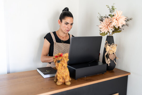 Pet groomer working on laptop at reception desk with dog figurine