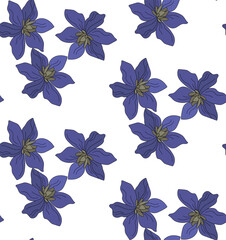 Fototapeta premium Bright purple flowers, seamless pattern on a transparent background