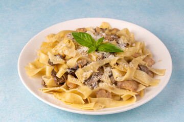Homemade Italian fettuccine pasta (Fettuccine al Funghi Porcini) with mushroom and cream sauce....