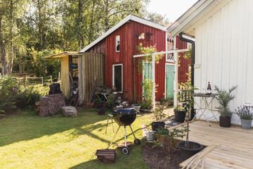 Sunny Day in Cottage Backyard with Barbecue