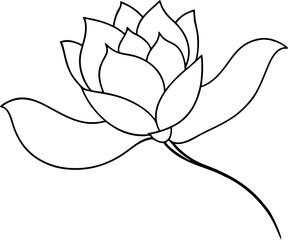 Minimalist Lotus Flower Line Art Illustration on White Background