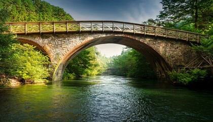 Fototapeta premium Puente sobre el rio en un Bosque verde