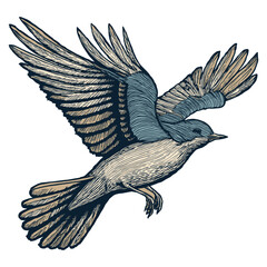 Detailed Flying Bird Illustration