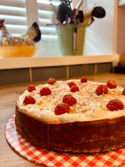 Homemade cheesecake for a family celebration