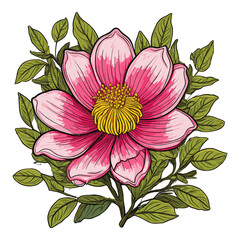 Vibrant Pink Flower with Green Leaves Illustration