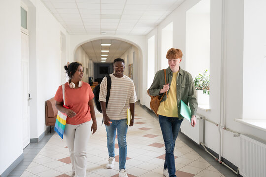 Smiling students conversation while walking in university